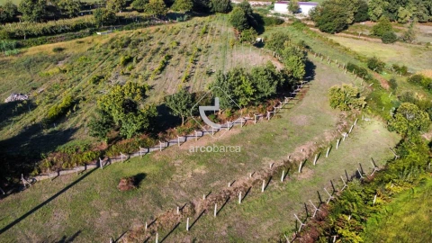 Quinta para Venda em Souto e Tabaçô