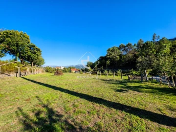 Quinta para Venda em Souto e Tabaçô