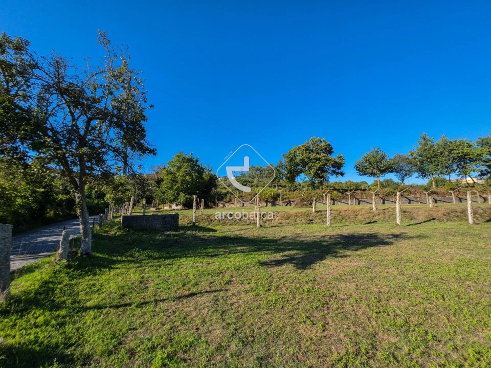 Quinta para Venda em Souto e Tabaçô Foto 18