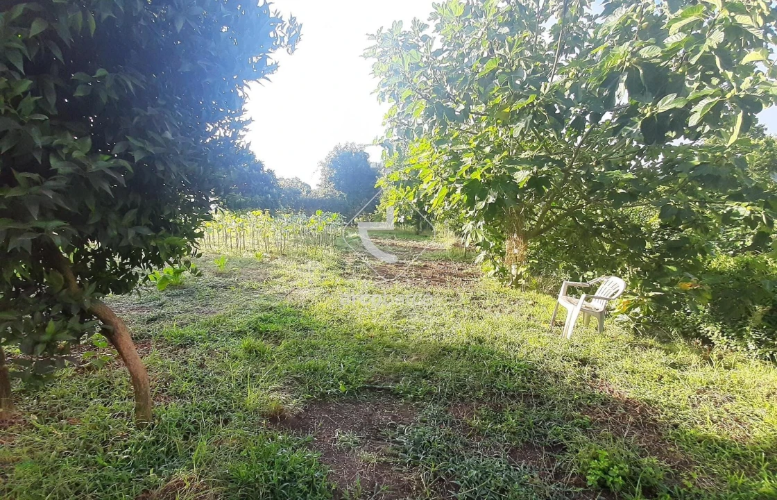 Quinta para Venda em Souto e Tabaçô Foto 1