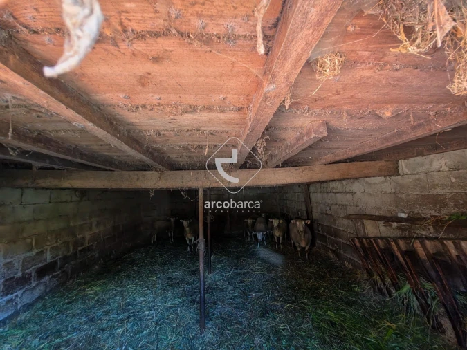 Quinta para Venda em Souto e Tabaçô Foto 9