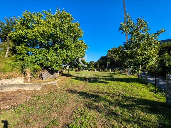 Quinta para Venda em Souto e Tabaçô Foto 12