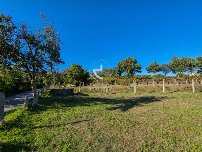 Quinta para Venda em Souto e Tabaçô Foto 18