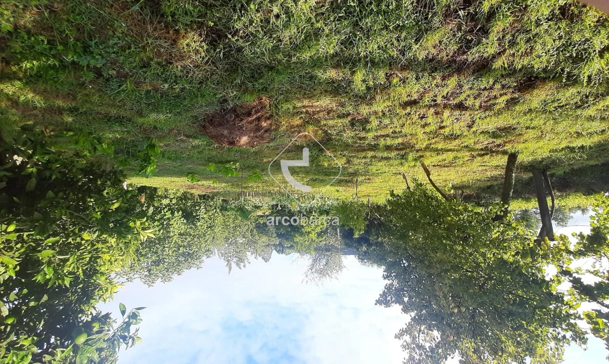 Quinta para Venda em Souto e Tabaçô Foto 2