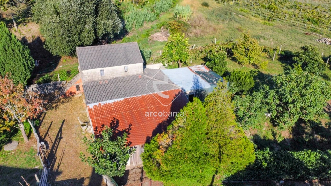 Quinta para Venda em Souto e Tabaçô Foto 21