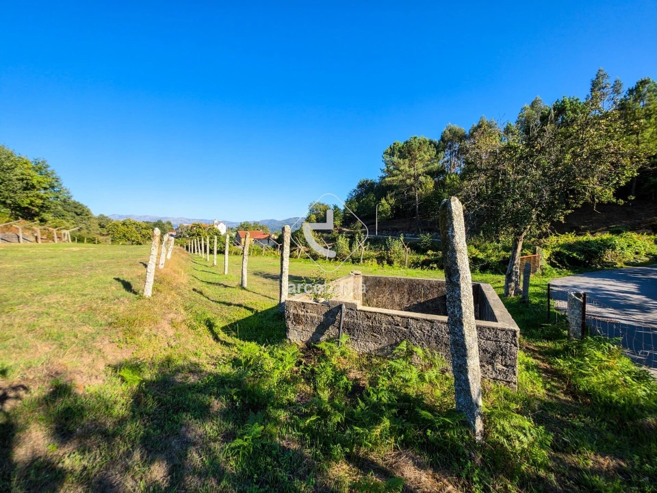 Quinta para Venda em Souto e Tabaçô Foto 15