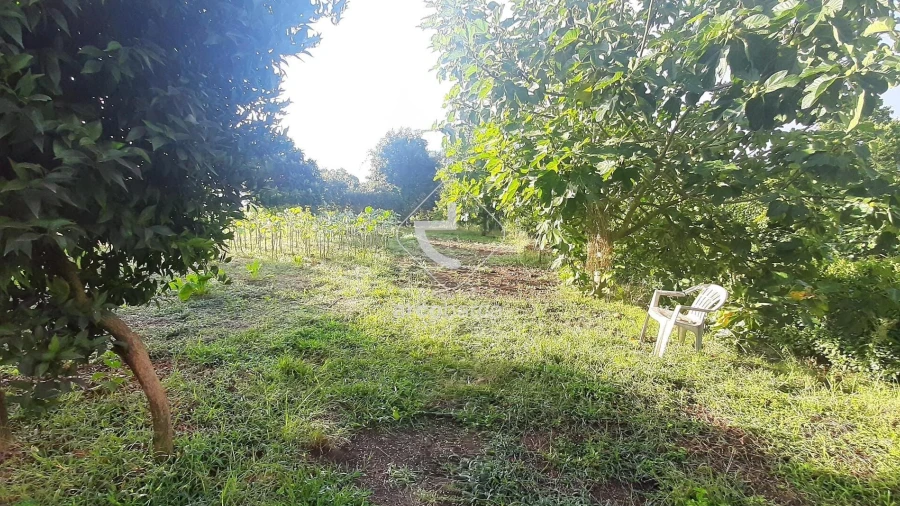 Quinta para Venda em Souto e Tabaçô