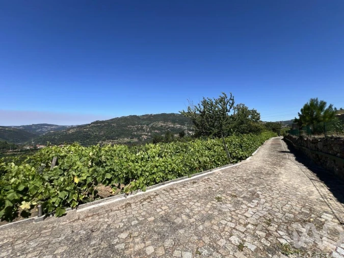 Quinta T3 para Venda em São Cristovão de Nogueira Foto 15