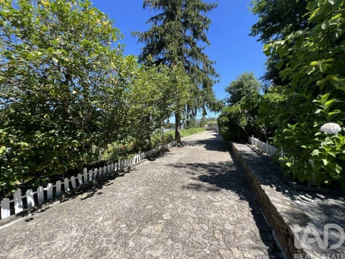 Quinta T3 para Venda em São Cristovão de Nogueira Foto 14