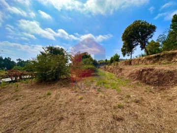 Terreno para Venda em Freiriz