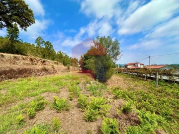 Terreno para Venda em Freiriz