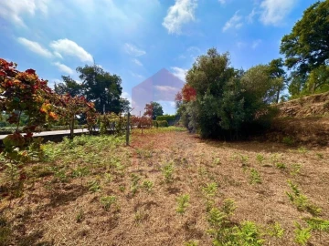 Terreno para Venda em Freiriz