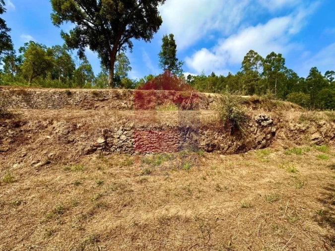 Terreno para Venda em Freiriz Foto 16