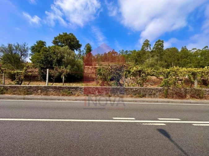 Terreno para Venda em Freiriz Foto 22