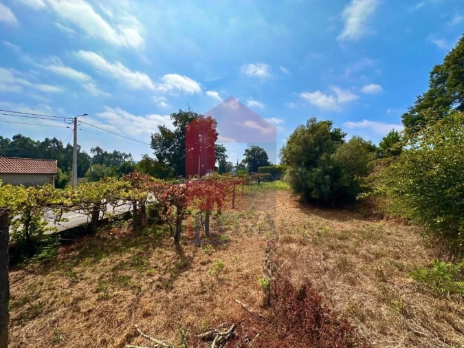 Terreno para Venda em Freiriz Foto 17