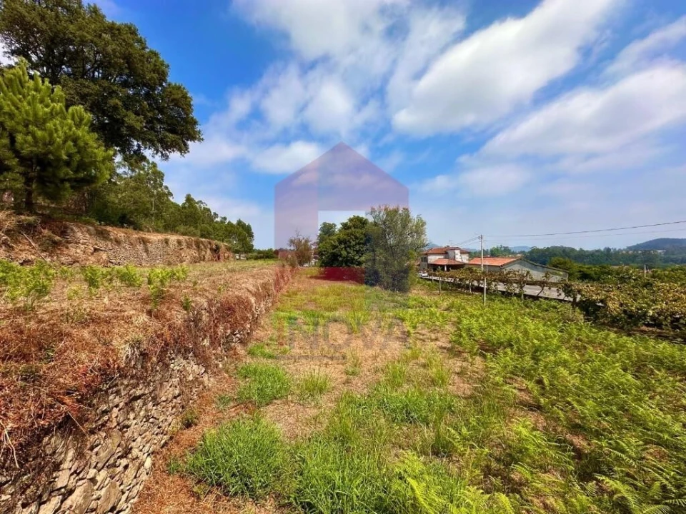 Terreno para Venda em Freiriz Foto 12