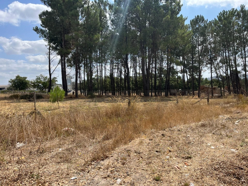 Terreno para Venda em Quinta do Anjo Foto 12