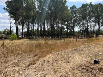 Terreno para Venda em Quinta do Anjo