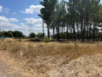Terreno para Venda em Quinta do Anjo