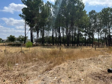 Terreno para Venda em Quinta do Anjo