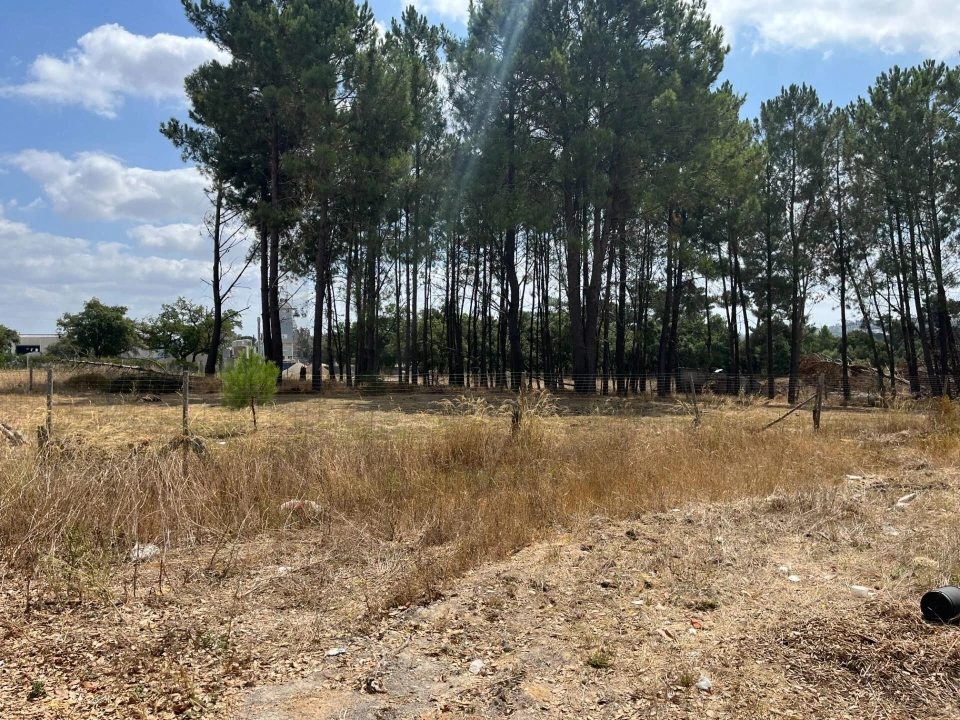 Terreno para Venda em Quinta do Anjo Foto 6