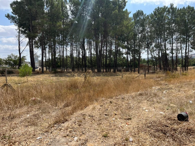 Terreno para Venda em Quinta do Anjo Foto 4
