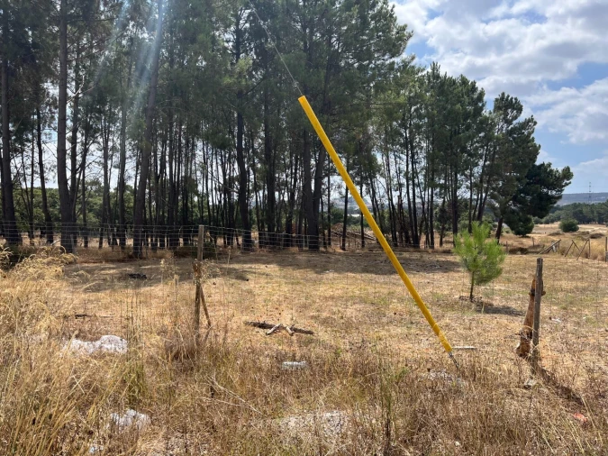 Terreno para Venda em Quinta do Anjo Foto 11