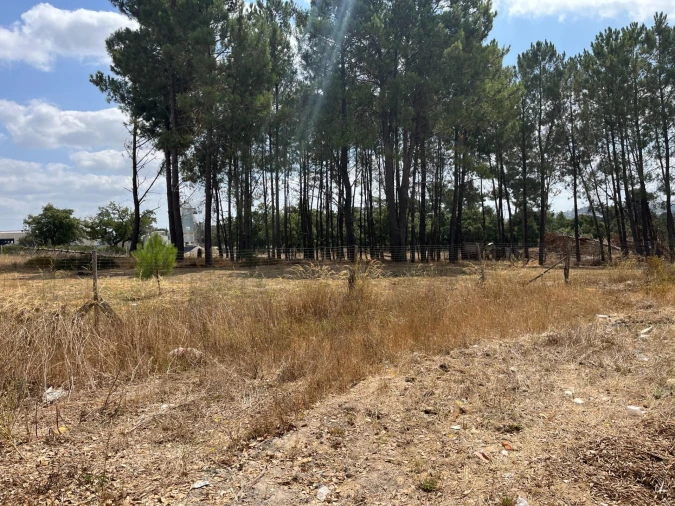 Terreno para Venda em Quinta do Anjo Foto 12
