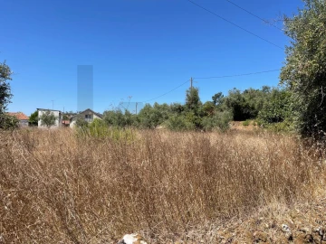Terreno para Venda em Seiça