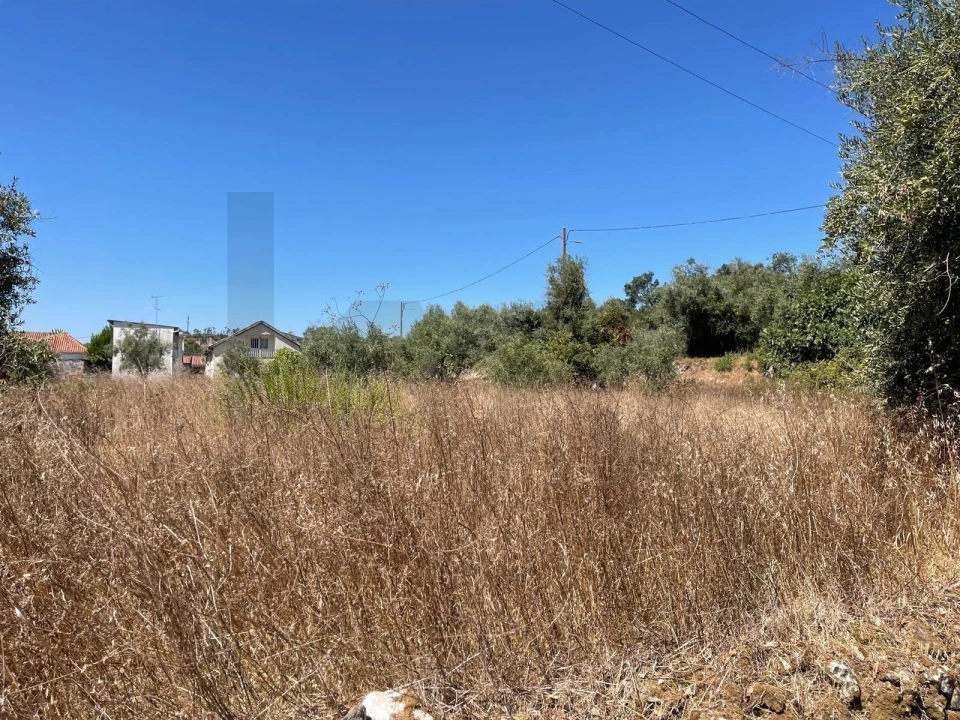 Terreno para Venda em Seiça Foto 2