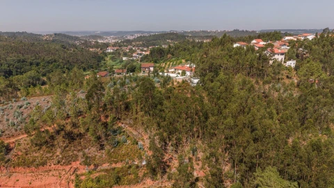 Terreno para Venda em Sé Nova, Santa Cruz, Almedina e São Bartolomeu