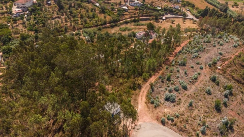 Terreno para Venda em Sé Nova, Santa Cruz, Almedina e São Bartolomeu