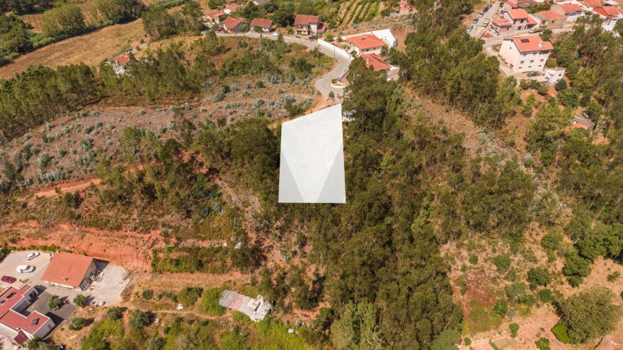 Terreno para Venda em Sé Nova, Santa Cruz, Almedina e São Bartolomeu Foto 9