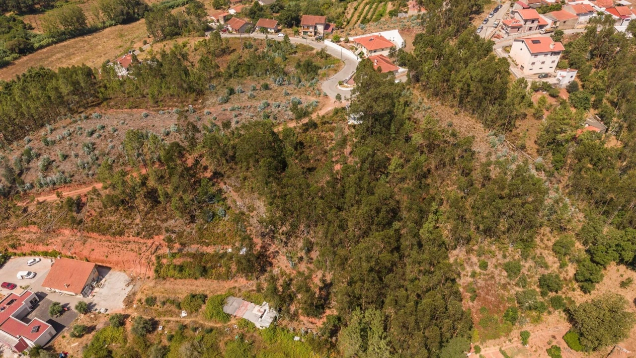 Terreno para Venda em Sé Nova, Santa Cruz, Almedina e São Bartolomeu Foto 8