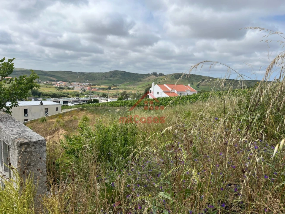 Terreno para Venda em Ponte do Rol Foto 4