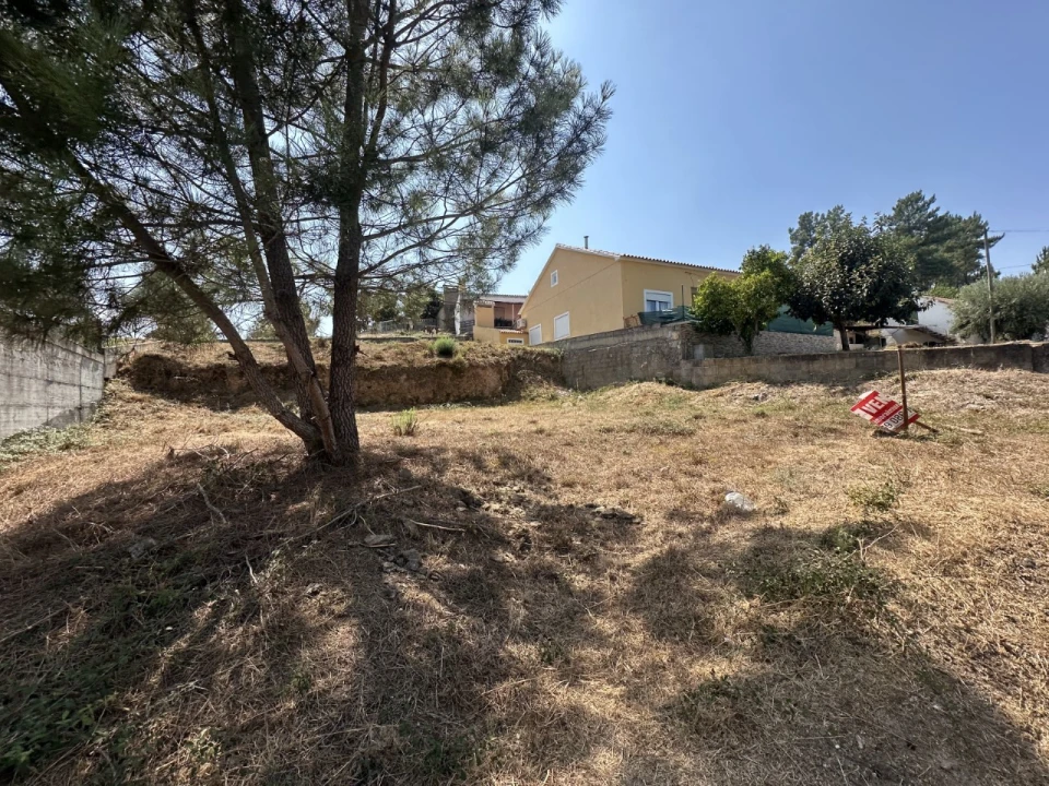 Terreno para Venda em Abrantes (São Vicente e São João) e Alferrarede Foto 2