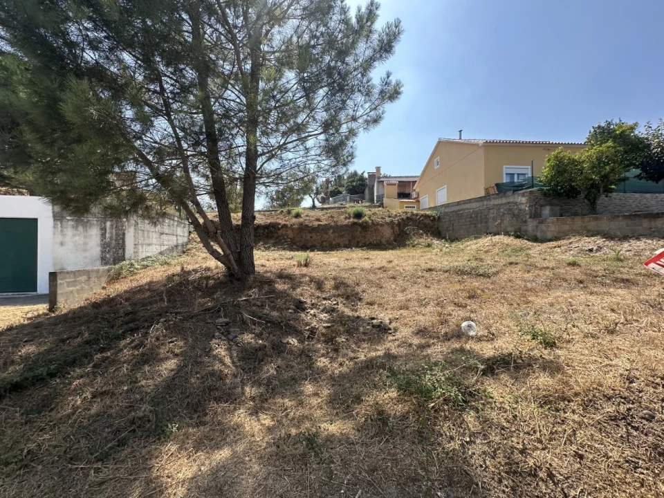 Terreno para Venda em Abrantes (São Vicente e São João) e Alferrarede Foto 3