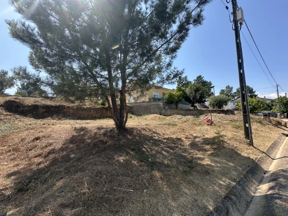 Terreno para Venda em Abrantes (São Vicente e São João) e Alferrarede Foto 9