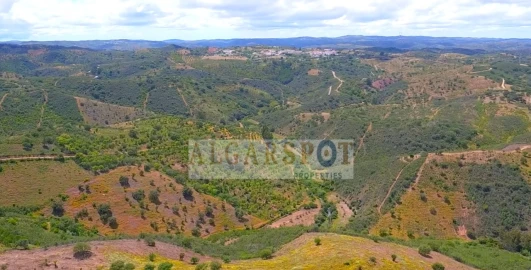 Moradia T8 para Venda em Loule (São Clemente)