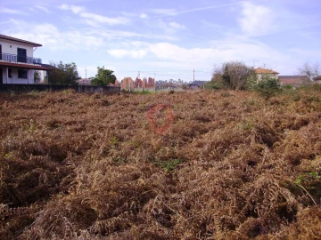 Terreno para Venda em Bela