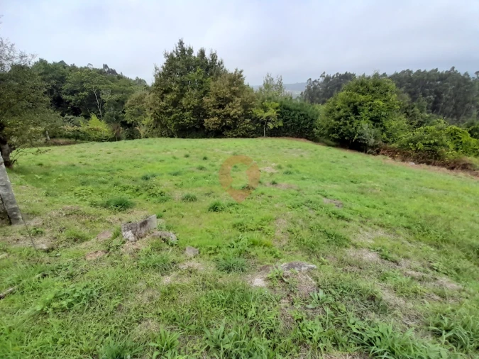 Moradia T2 para Venda em Chaviães e Paços Foto 3