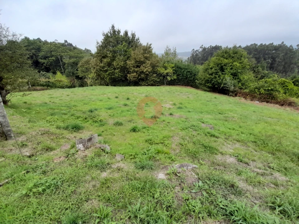 Moradia T2 para Venda em Chaviães e Paços Foto 3