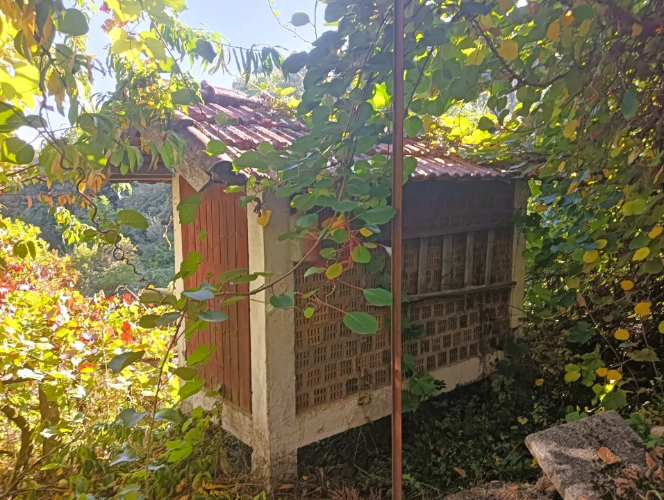 Moradia T2 para Venda em Chaviães e Paços Foto 14