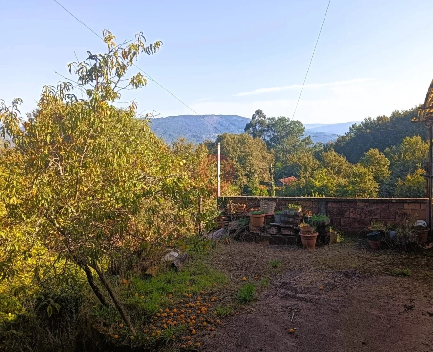 Moradia T2 para Venda em Chaviães e Paços Foto 15