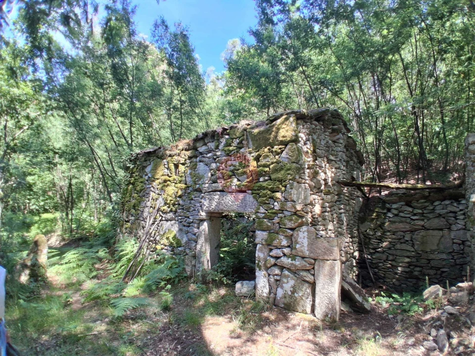 Terreno para Venda em São Paio Foto 1