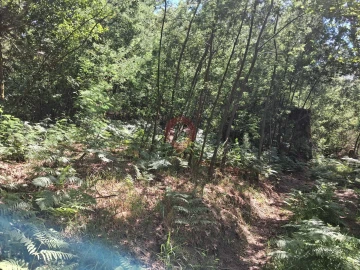 Terreno para Venda em São Paio