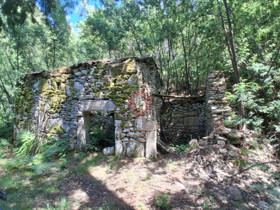 Terreno para Venda em São Paio Foto 3