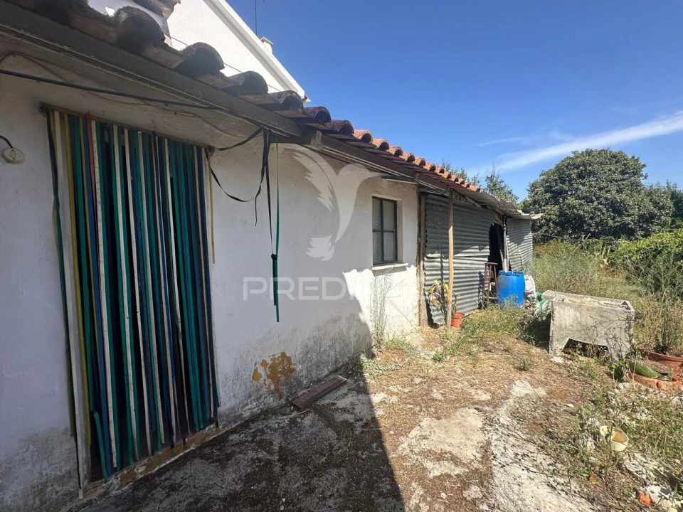 Terreno para Venda em Olaia e Paço Foto 12