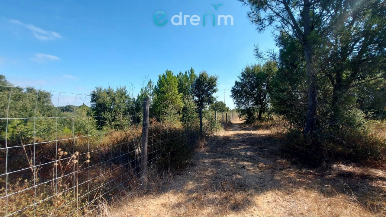 Terreno para Venda em Palmela Foto 46