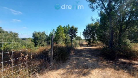 Terreno para Venda em Palmela
